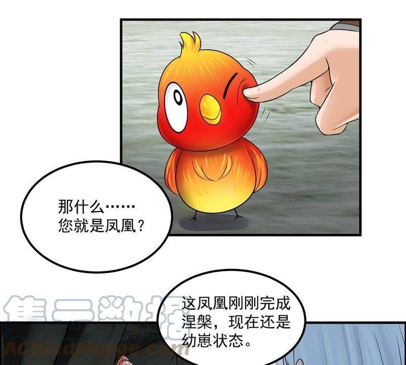 🍲最强光环系统 第68话 报仇的时候到了 第11页