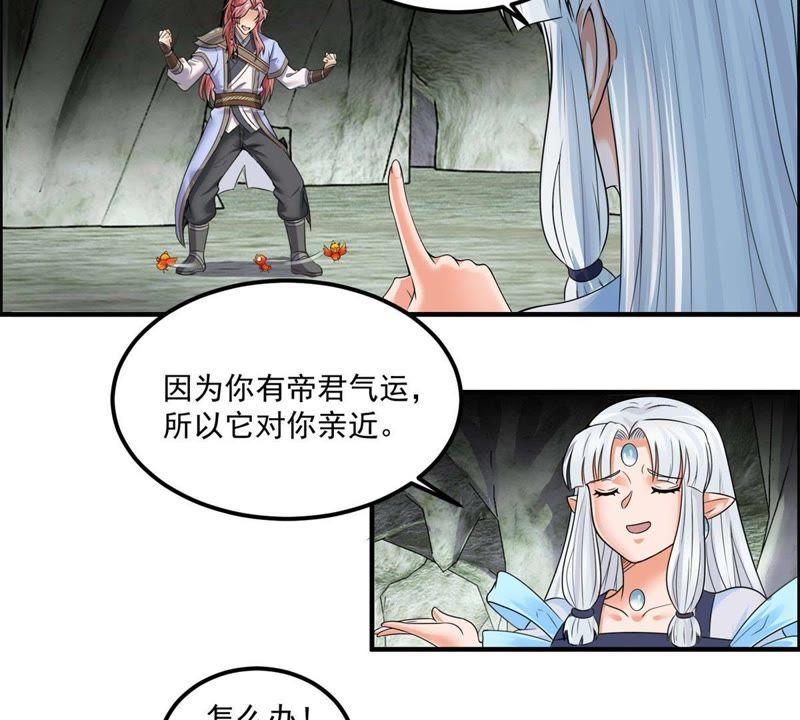 🍲最强光环系统 第68话 报仇的时候到了 第12页