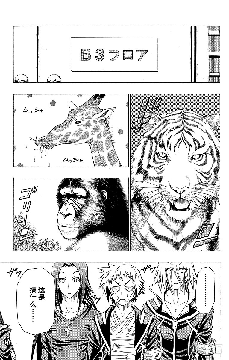 第37箱 抱歉，我要扯上关系了-第37话