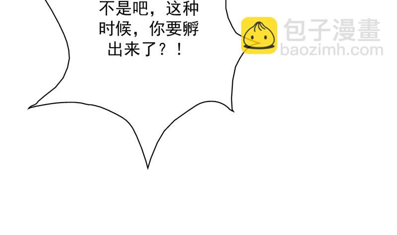 🍲最强神兽系统 第103话 说不定成为新王 第41页