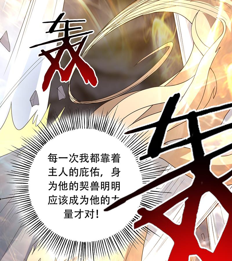 🍲最强神兽系统 第191话 主人的庇佑 第47页