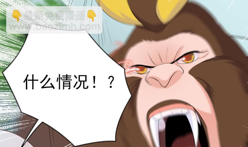 🍲最强神兽系统 第31话 命悬一线 第41页