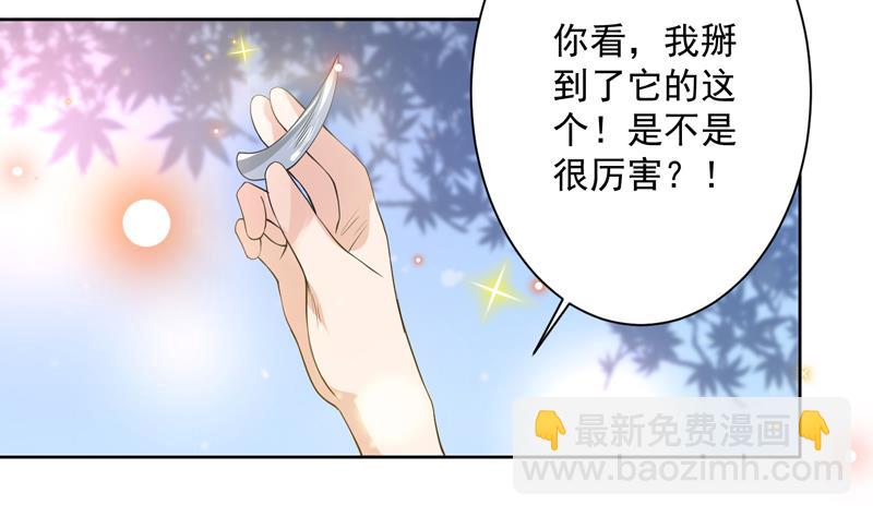 🍲最强神兽系统 第89话 别碰我的蛋 第35页