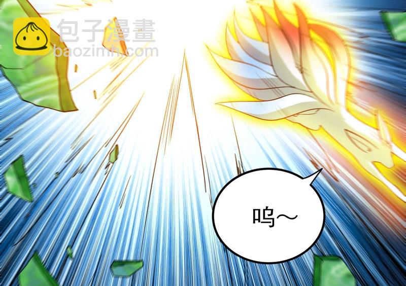 🍲最强神医混都市 要我帮忙看看吗？ 第19页