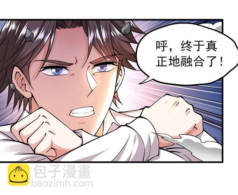 🍲最强神医混都市 彻底融合战魂！ 第16页