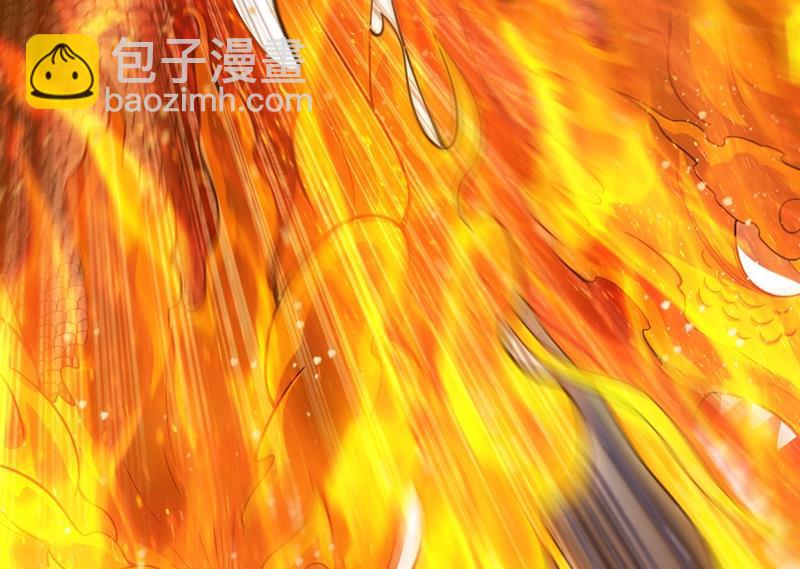 🍲最强神医混都市 大战姑获鸟！ 第13页