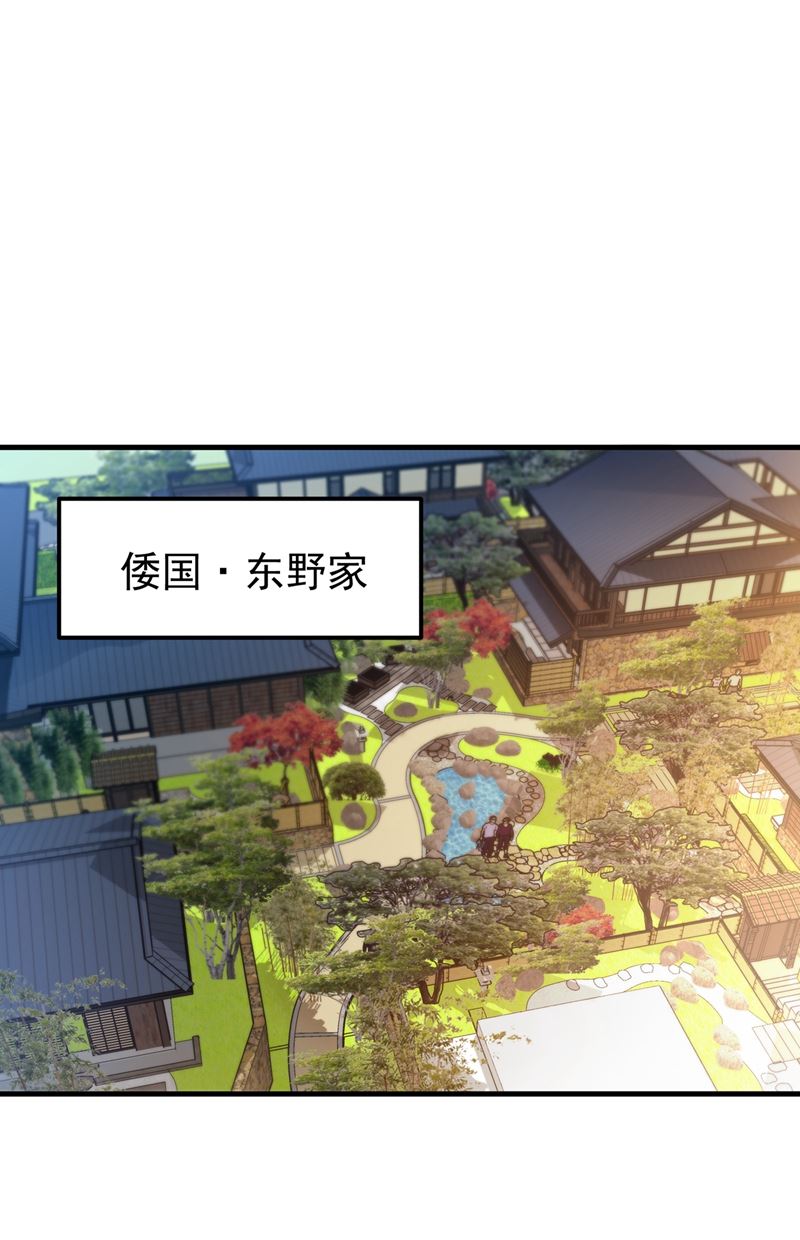🍲最强神医混都市 该跟他们做个了结了 第1页