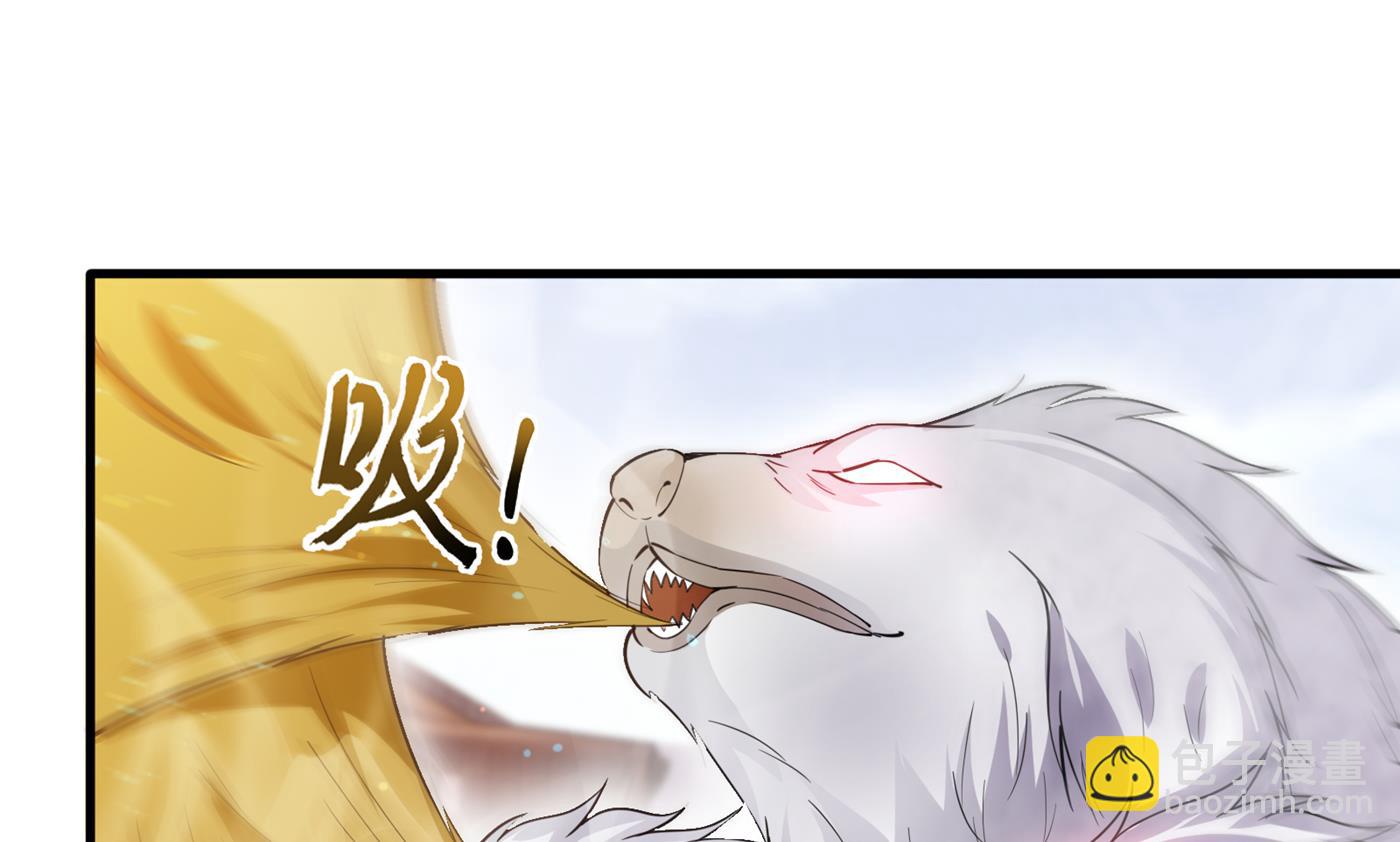 🍲最强神医混都市 把花开院家搬空！ 第36页