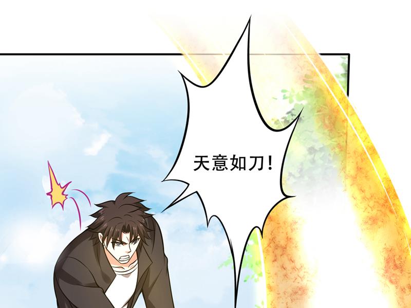 🍲最强神医混都市 鸿蒙灵种发芽了 第1页