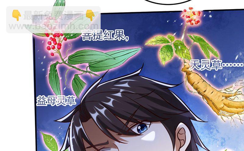 🍲最强神医混都市 无需炉火就能炼药？ 第31页