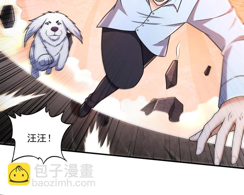 🍲最强神医混都市 你的灵根归我了 第17页