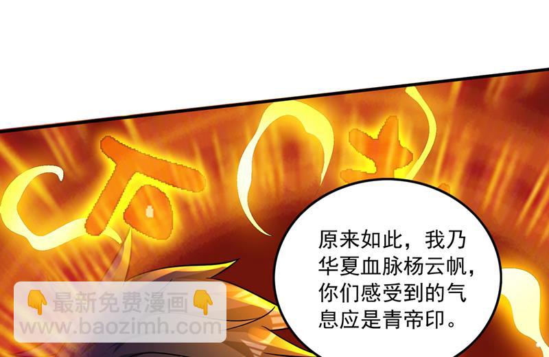 🍲最强神医混都市 禹皇的仇人 第13页