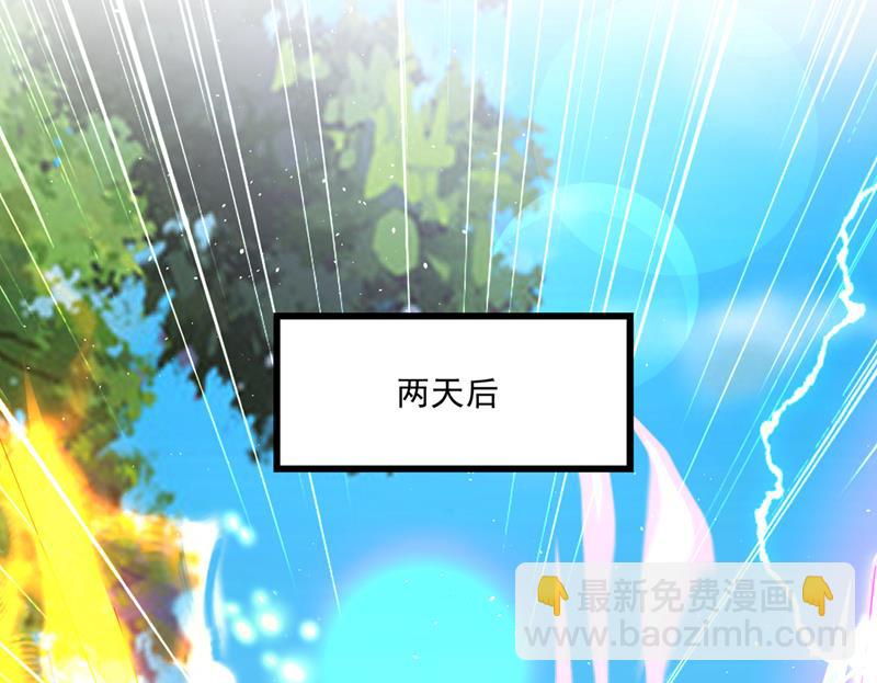 🍲最强神医混都市 猎杀的好机会 第11页