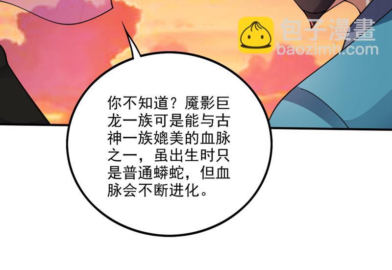 🍲最强神医混都市 灵舟兽演？ 第47页