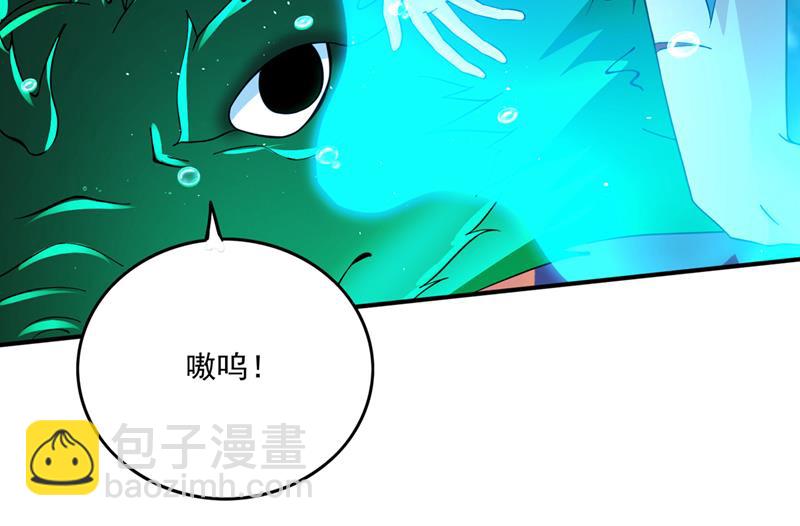 🍲最强神医混都市 我在泫金岛等你！ 第27页