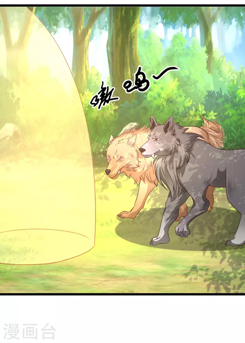 第258话 我的宠物不可能这么熊？？？-第267话