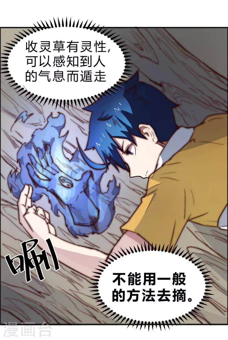 第73话 得到收灵草了！-第83话