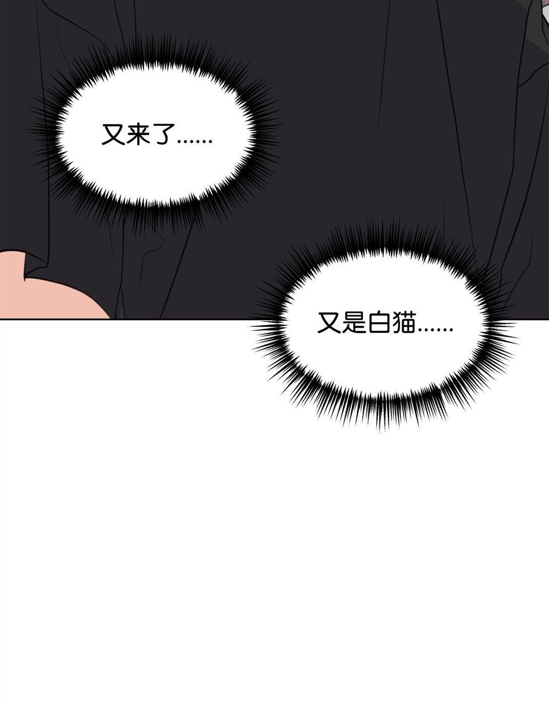 47 奇怪的朋友(1/2)-第47话