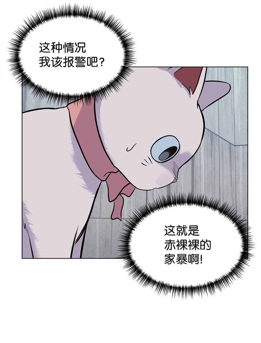 07 喵喵精灵(1/2)-第7话