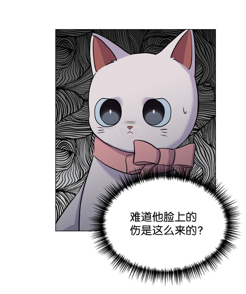 07 喵喵精灵(1/2)-第7话