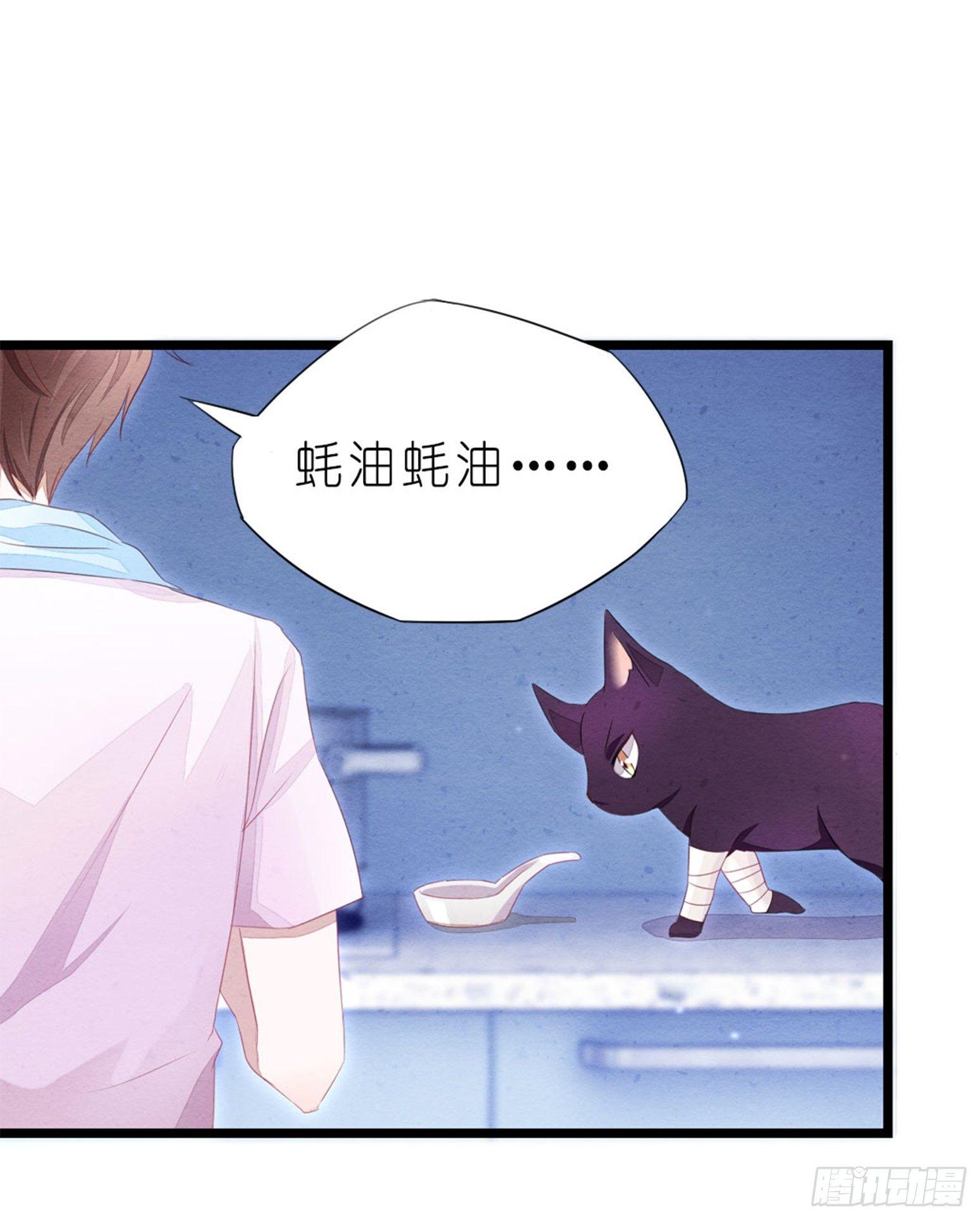 02 卖萌可耻但有用-第3话