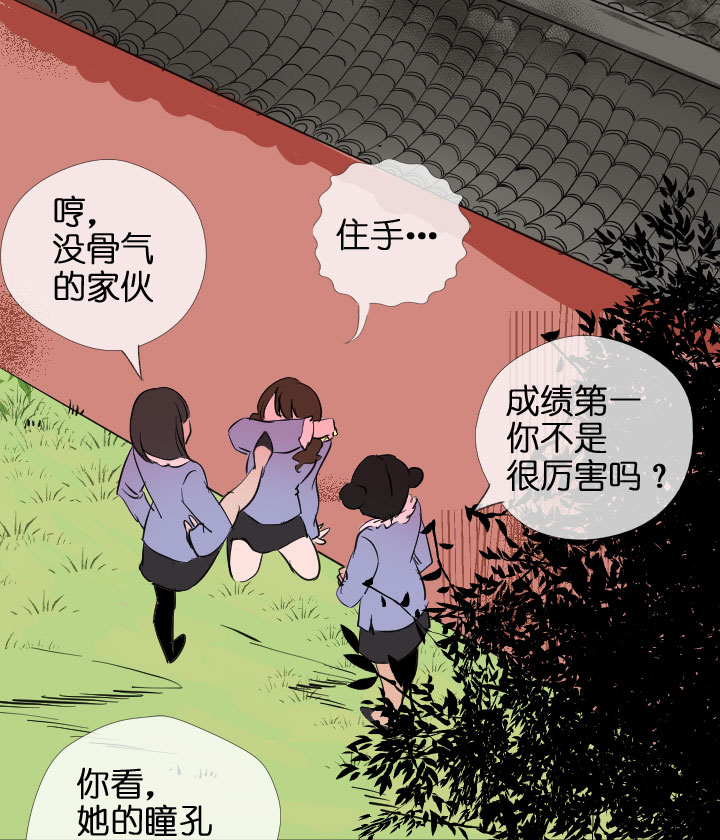 第204话(1/2)-第209话