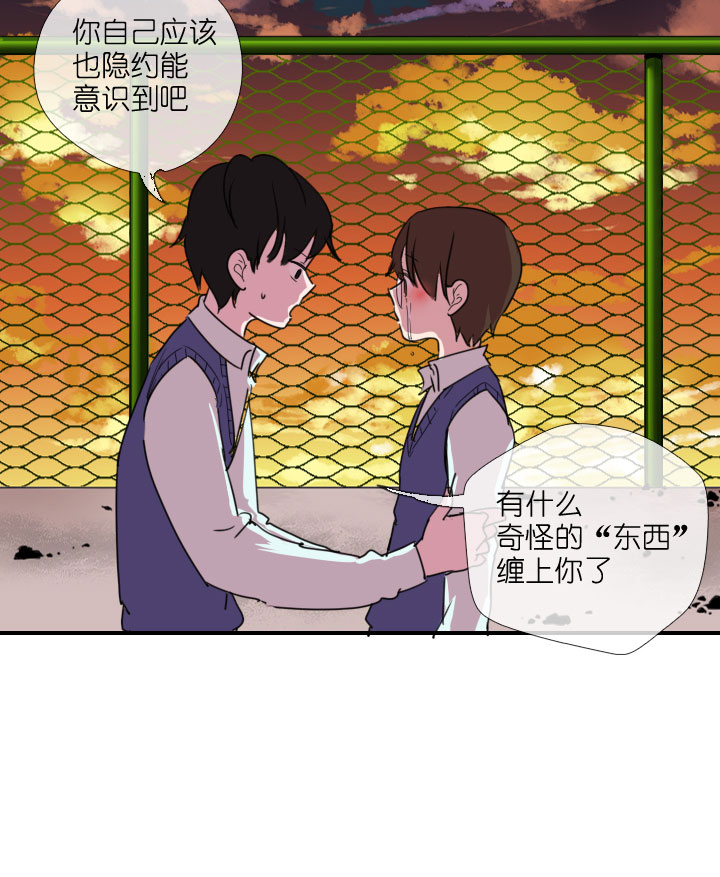 第216话-第221话
