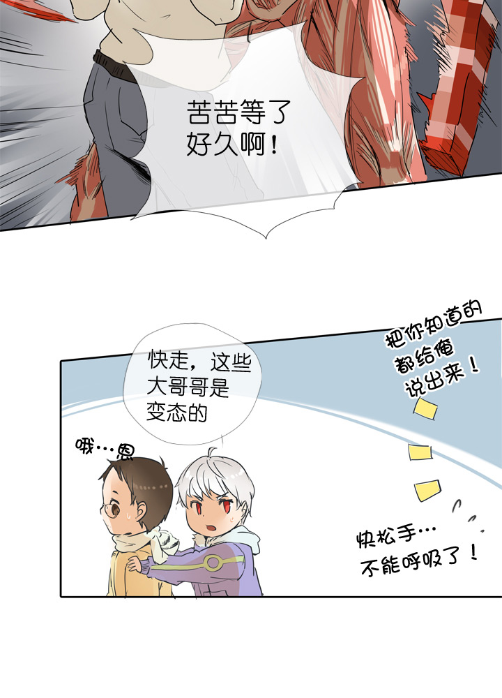 第41话-第41话
