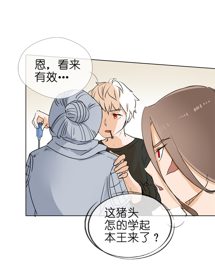 第74话-第75话